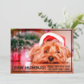 Hond Foto Paw Humbug Huisdier Kerstmis Feestdagenkaart (Staand voorkant)