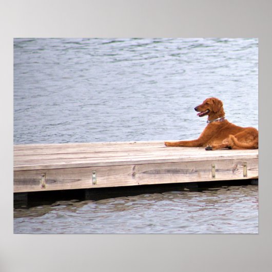 Hond Foto Poster (Voorkant)