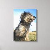 Hond foto single canvas afdruk (Voorkant)