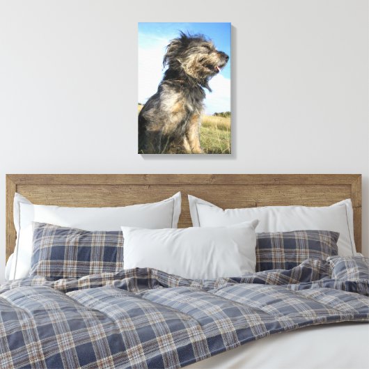 Hond foto single canvas afdruk (Insitu (Slaapkamer))