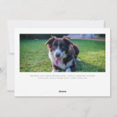 Hond Foto Sloppy Kisses Script Christmas Feestdagenkaart (Achterkant)