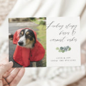 Hond Foto Sloppy Kisses Script Christmas Feestdagenkaart