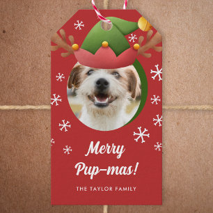 Hond Foto w / Elf Rendier Antler Pet Kerst Cadeaulabel