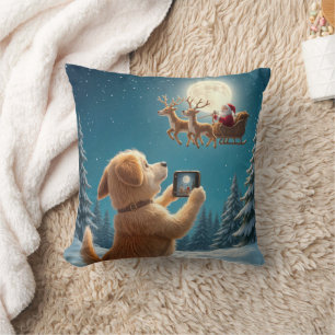 Hond fotografeert kerstman in slee kussen