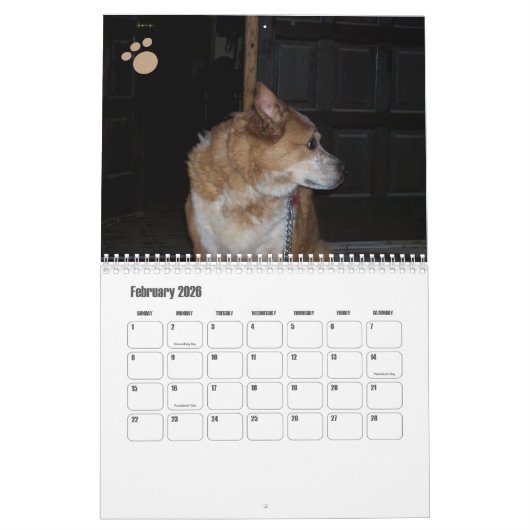 Hond Fotokalender Ginger Queensland Heeler Kalender (Feb 2026)