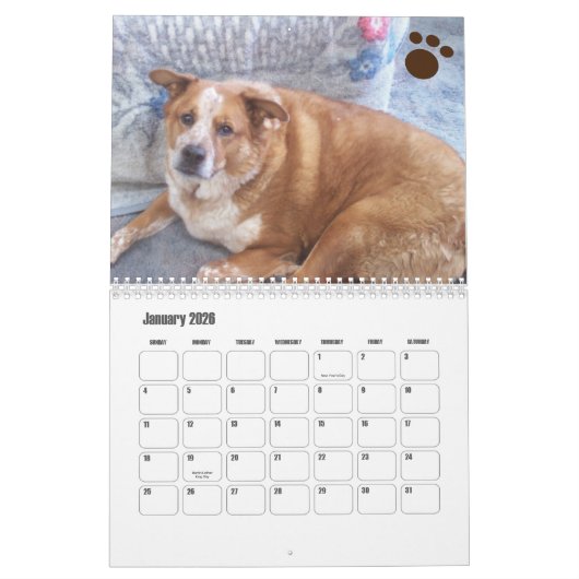 Hond Fotokalender Ginger Queensland Heeler Kalender (Jan 2026)