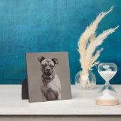 hond fotoplaat (Insitu)