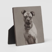 hond fotoplaat (Voorkant)
