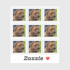 Hond Fotoportret DIY Sticker