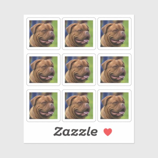 Hond Fotoportret DIY Sticker (Vel)
