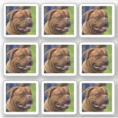 Hond Fotoportret DIY Sticker (Voorkant)