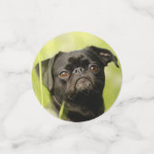 Hond Foto's Custom Confetti (Kleine voorkant)