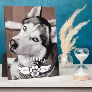Hond Gedenk Pawprint Hart Engelenvleugels Foto Fotoplaat