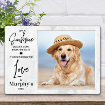 Hond Geliefde Mijn Zonneschijn Persoonlijke Huisdi