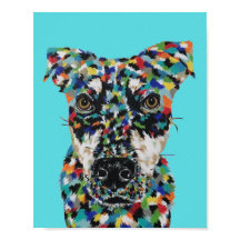 Hond Gemengd Ras