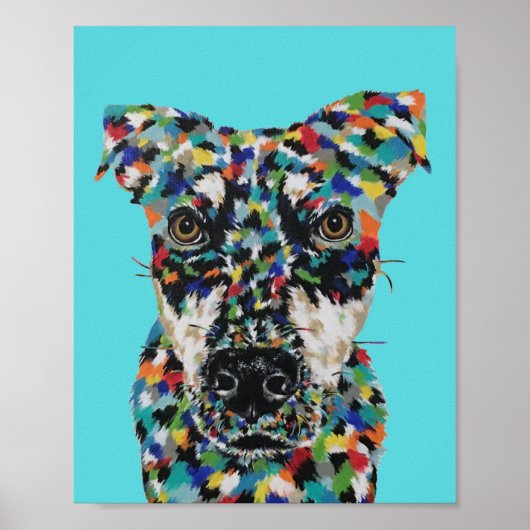 Hond Gemengd Ras Poster (Voorkant)