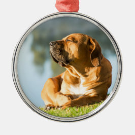 Hond genietend van de ochtendzon metalen ornament