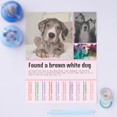 Hond Gevonden  Flyer (Enkel)