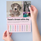 Hond Gevonden  Flyer (Hand)
