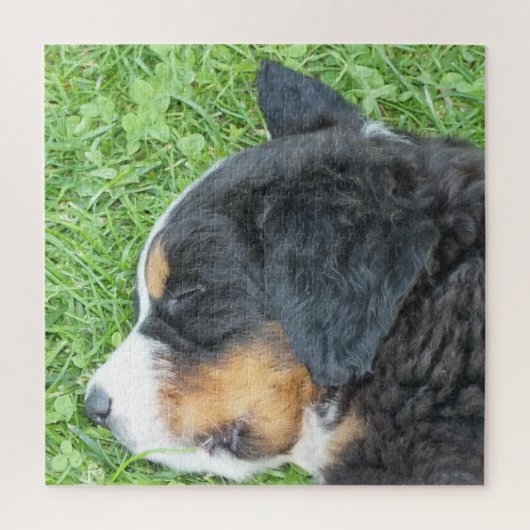 hond, gezelschapsdier, schattig dier, ras, puzzel, legpuzzel (Verticaal)