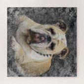 hond, gezelschapsdier, schattig dier, ras, puzzel, legpuzzel (Horizontaal)