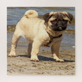hond, gezelschapsdier, schattig dier, ras, puzzel, legpuzzel