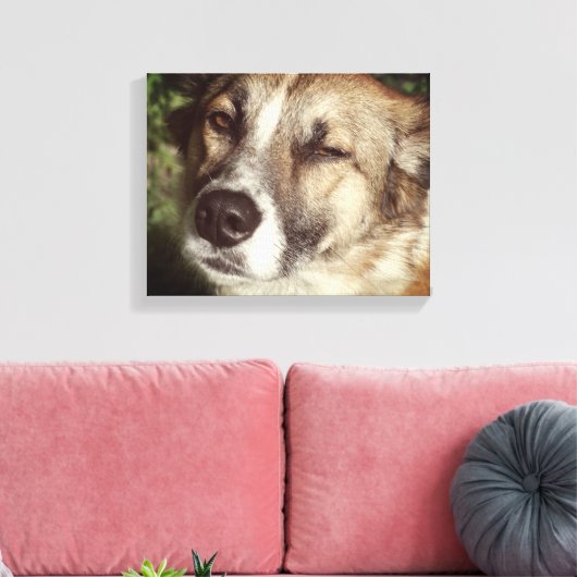 Hond gezicht foto enkele print (Insitu (Woonkamer))