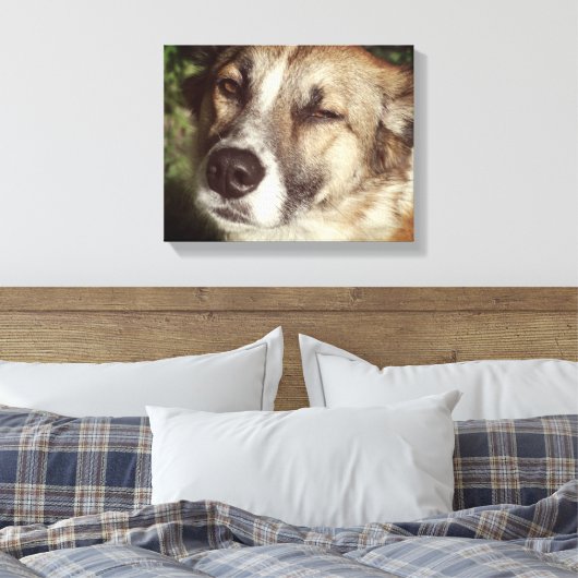 Hond gezicht foto enkele print (Insitu (Slaapkamer))