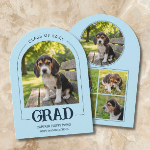 Hond Graduatie Feest Uitnodiging Huisdier Foto's B