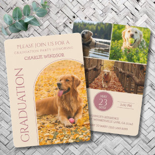 Hond Graduatie Feest Uitnodiging Huisdier Foto's R
