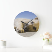 hond grote klok (Huis)