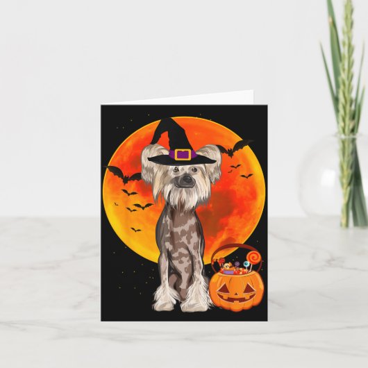 Hond Halloween Chinese Crested Jack O Lantern Kaart (Voorkant)