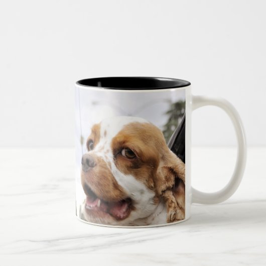 Hond hangende kop uit het raam van de auto (Rechts)