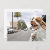 Hond hangende kop uit het raam van de auto briefkaart (Voorkant / Achterkant)