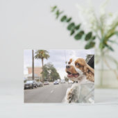 Hond hangende kop uit het raam van de auto briefkaart (Staand voorkant)