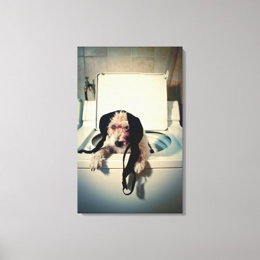 Hond helpt bij het wassen canvas afdruk (Voorkant)