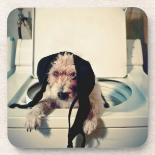 Hond helpt bij het wassen drankjes onderzetter