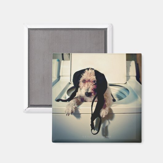 Hond helpt bij het wassen magneet (Voorkant / Achterkant)