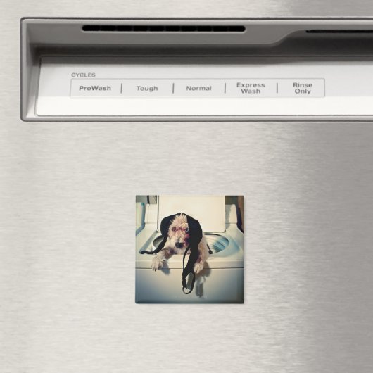 Hond helpt bij het wassen magneet (Insitu (Vaatwasser))