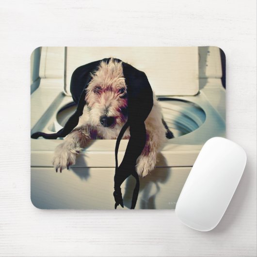 Hond helpt bij het wassen muismat (Met muis)