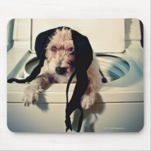 Hond helpt bij het wassen muismat