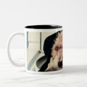 Hond helpt bij het wassen tweekleurige koffiemok (Links)