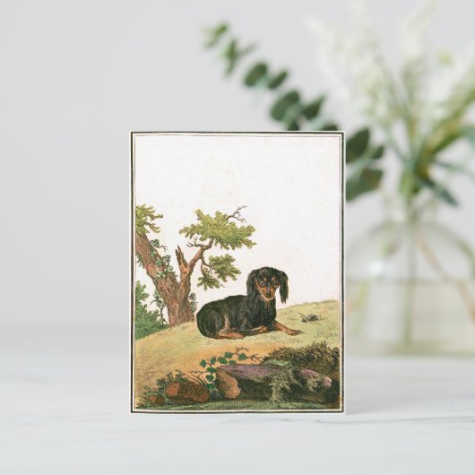 Hond - het Continentale Spaniel van het Speelgoed Briefkaart (Staand voorkant)