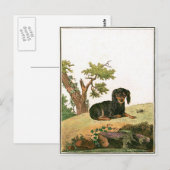 Hond - het Continentale Spaniel van het Speelgoed Briefkaart (Voorkant / Achterkant)