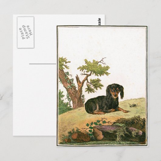 Hond - het Continentale Spaniel van het Speelgoed Briefkaart (Voorkant / Achterkant)