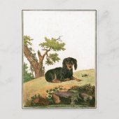 Hond - het Continentale Spaniel van het Speelgoed Briefkaart (Voorkant)
