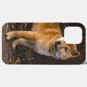 Hond Hoesje-Mate iPhone Case (Achterkant (horizontaal))
