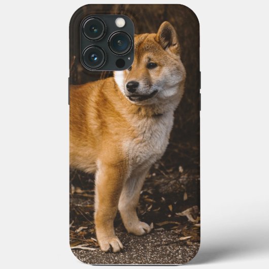 Hond Hoesje-Mate iPhone Case (Achterkant)