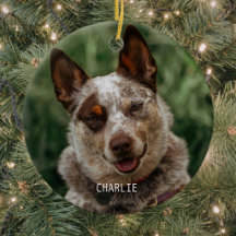 Hond huisdier foto Kerstmis