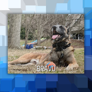 Hond Huisdier Foto & Naam, Familie Nacht, Cool Fun Legpuzzel